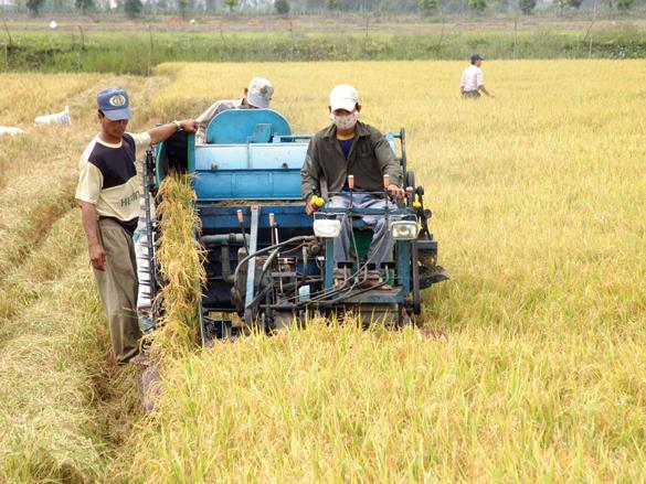 UBND tỉnh banh hành quy định về quản lý chất thải trên địa bàn tỉnh