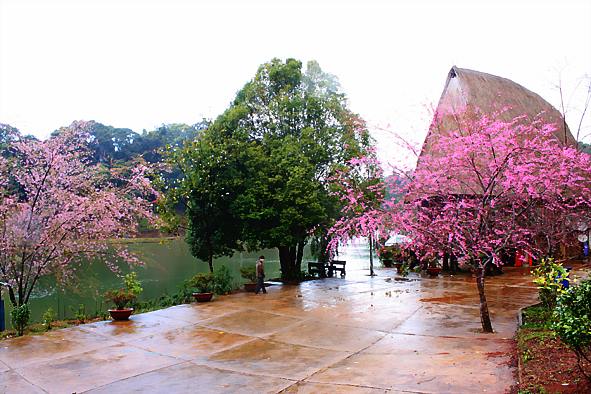 Chấp thuận điều chỉnh chủ trương đầu tư dự án Khu nhà ở liền kề có vườn tại thị trấn Măng Đen, huyện Kon Plông