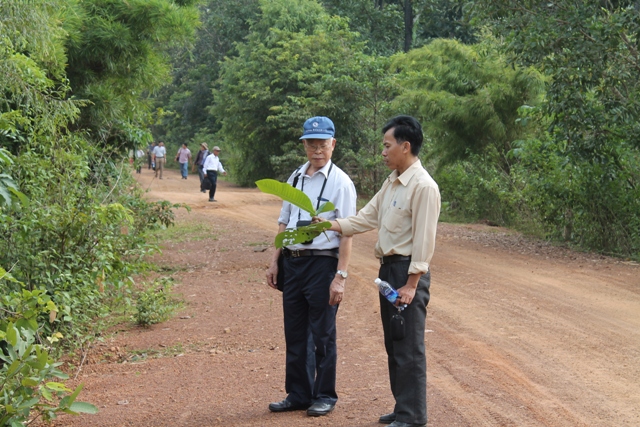 Thực hiện Chương trình phát triển lâm nghiệp bền vững giai đoạn 2021 - 2025 trên địa bàn tỉnh Kon Tum năm 2023